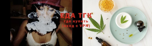 индика Бугульма