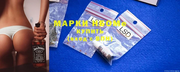 индика Бугульма