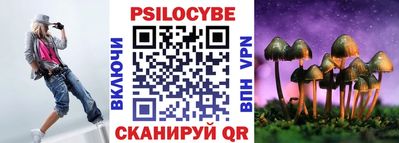 hydra как войти Лодейное Поле Псилоцибиновые грибы Magic Shrooms